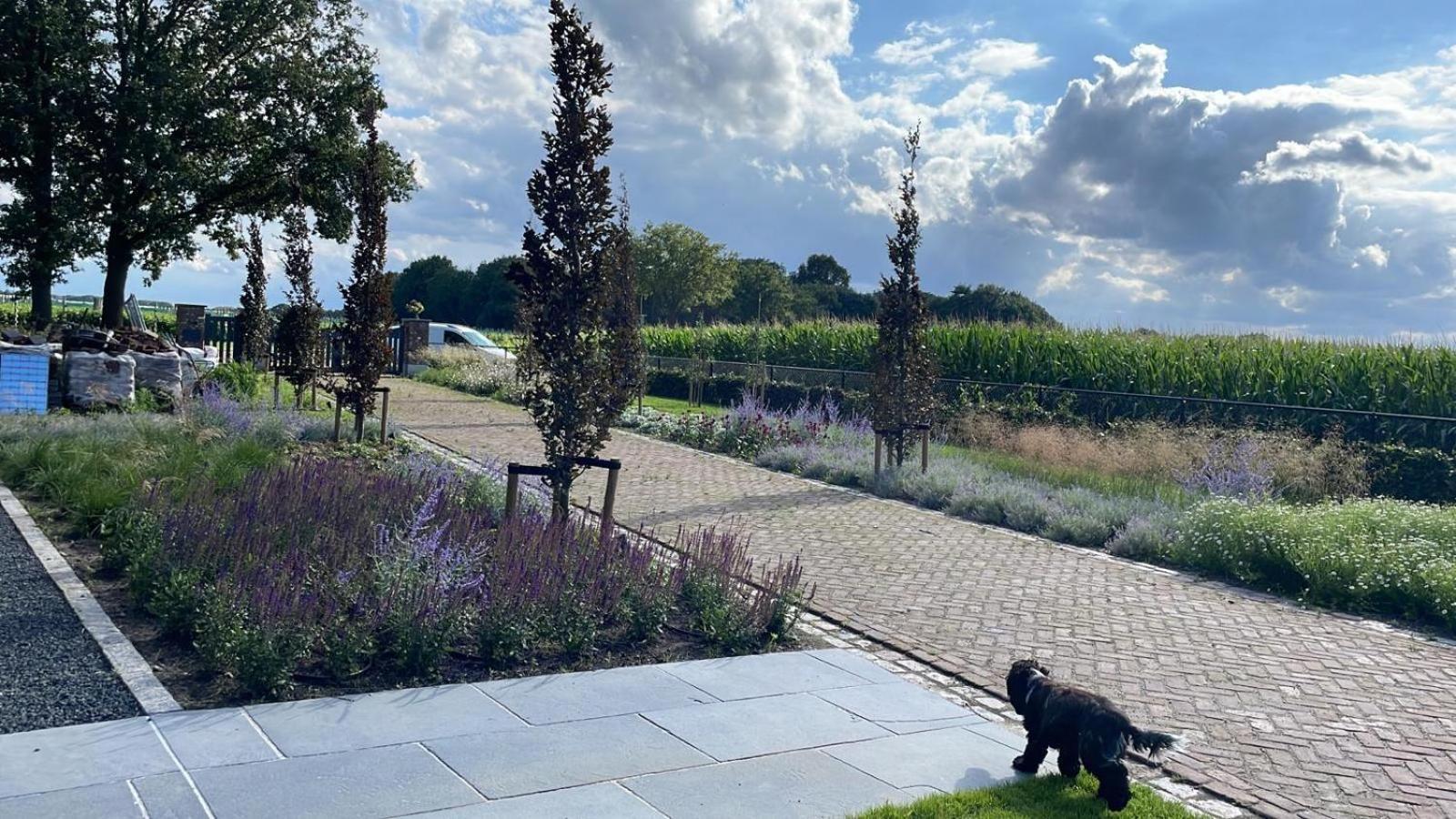 Il Settimo Cielo Bed and breakfast Someren